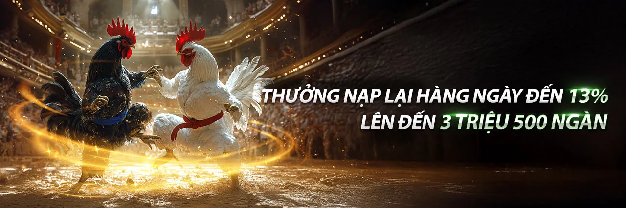 Đá gà trực tiếp CPC3 hôm nay